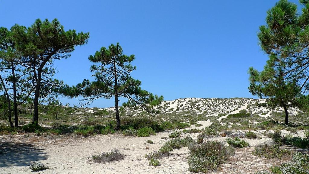Comporta Beach House ภายนอก รูปภาพ